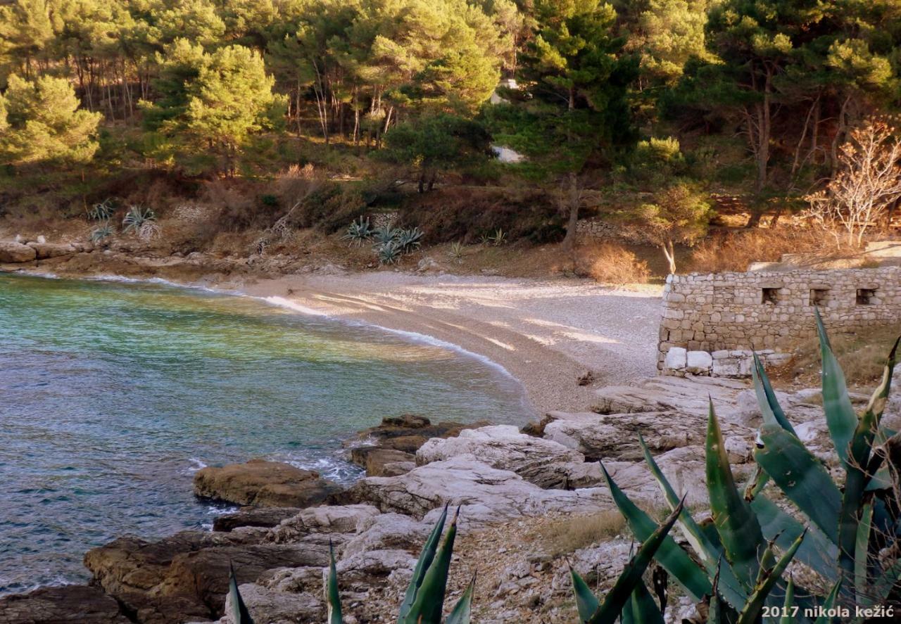 Guesthouse Torga Vis Island Extérieur photo